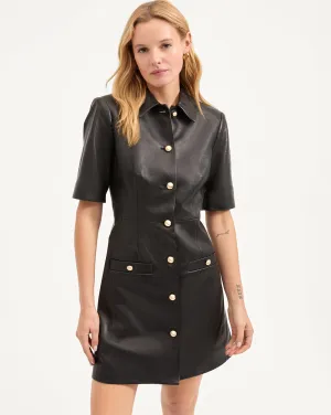 Paige Leather Dress
